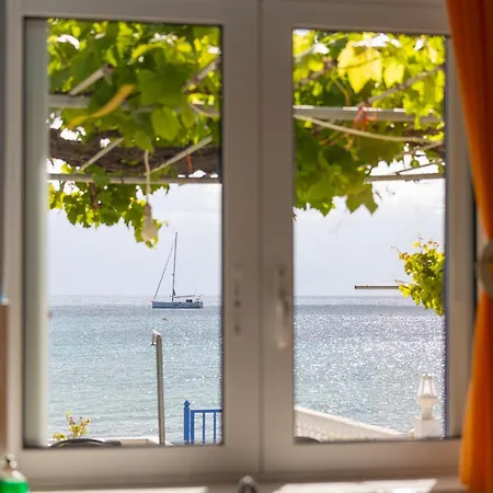 Apartament Tropical 